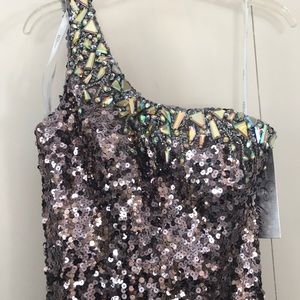 Brand New Gorgeous Sequin Dress